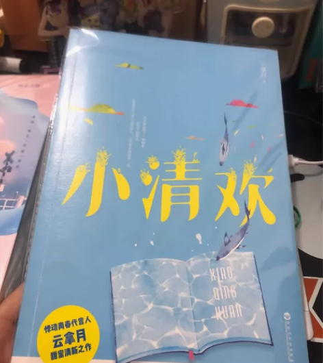 畅销·青春文学 热门小说 小清欢20卖 要...