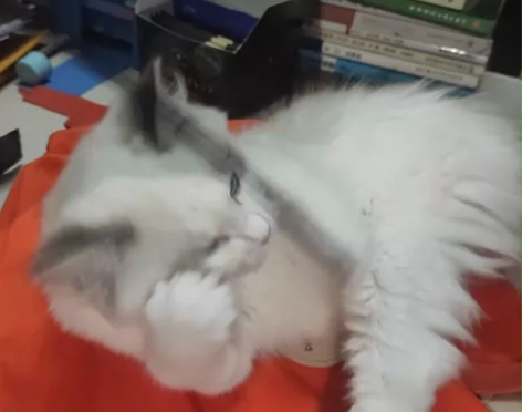 澳尔滨化妆水27×2 感兴趣的话点“我想要...