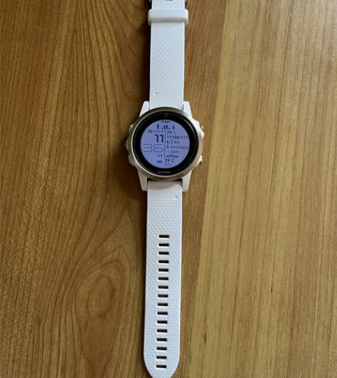 佳明飞耐时户外运动专业手表Garmin F...