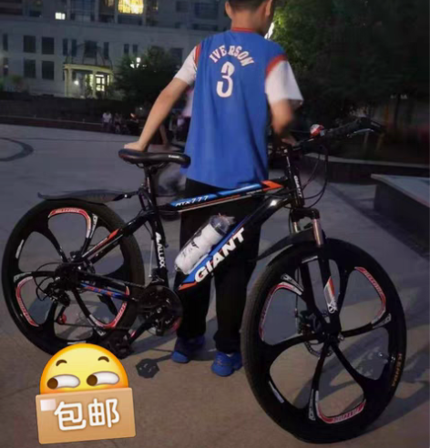 包邮【低价处理】捷安特山地车自行车六刀一体...