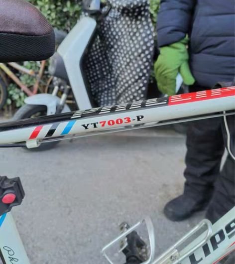 菲律普变速赛车,9成新,正常使用。 感兴趣...