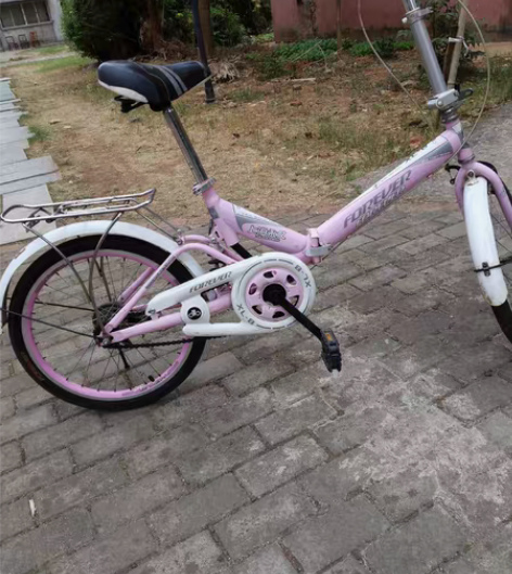 著名品牌:永 久ⅩL一8 折叠自行车型号...