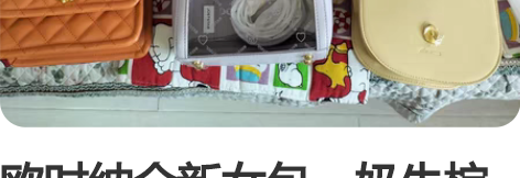 欧时纳全新女包，奶牛棕小版大版。带图寻价。...