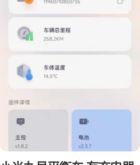 小米九号平衡车 有充电器的，没有拍出来。 ...