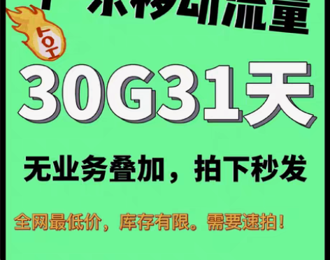 包邮广东移动流量30G31天流量包最新秒发...