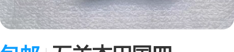 包邮五羊本田国四NX125/睿致NBX/新...