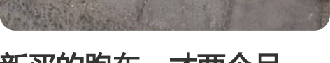 新买的跑车，才两个月。整车没超9公斤，前后...
