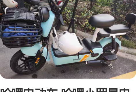 哈啰电动车 哈啰小罗曼电动自行车,11月中...