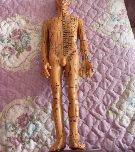 中医模型 感兴趣的话点“我想要”和我私聊吧...