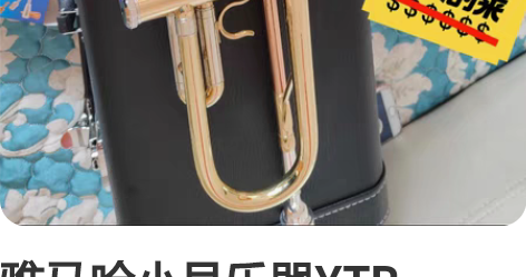 雅马哈小号乐器YTR-8335GS金三色小...