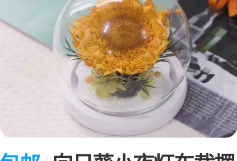 包邮向日葵小夜灯车载摆件 感兴趣的话点“我...