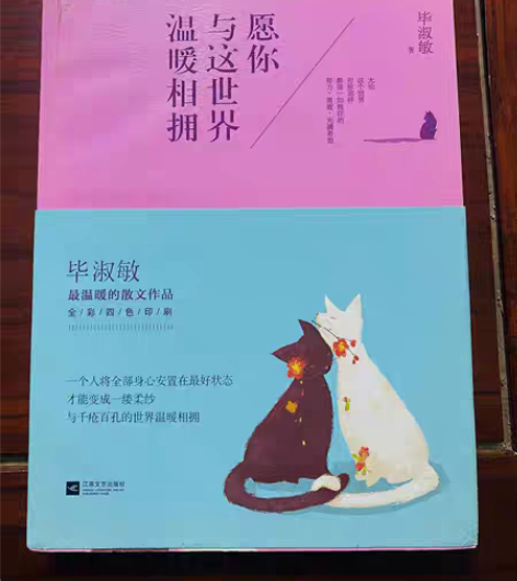 包邮正版二手 愿你与这世界温暖相拥 毕淑敏...