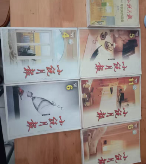 包邮小说月报系列书,这个不错,其中有一个是...