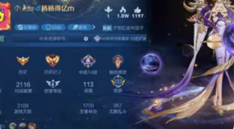 包邮王者租号v9安q满英雄满铭文 倪克斯 ...