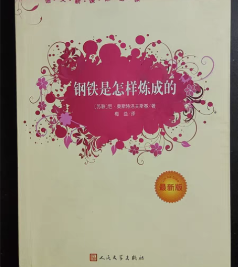 钢铁是怎样炼成的 99新￥12