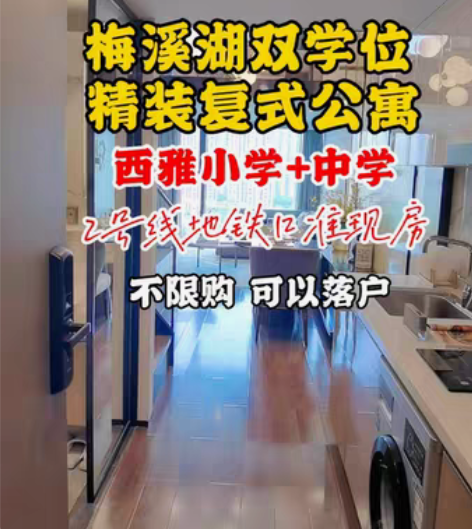 包邮梅溪湖双学位精装复式现房公寓,2号线正...