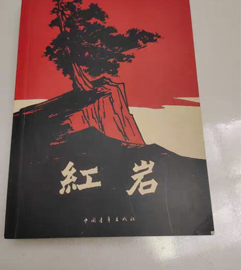 文学作品红岩,买了没翻过,几乎全新,高三出...