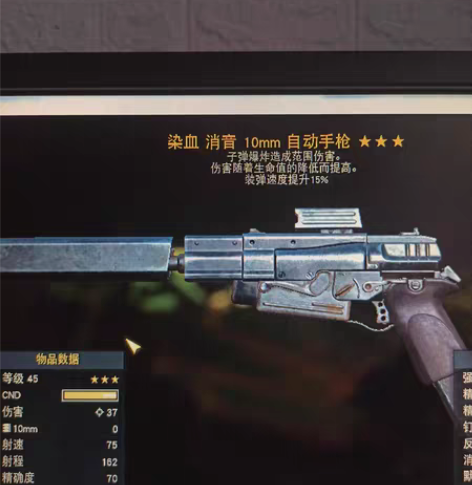 辐射76染爆10mm 染爆单动 感兴趣的话...