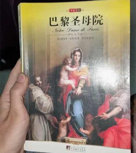 正版 巴黎圣母院 中央编译出版社 雨果 图...
