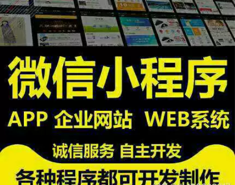 各类软件 小程序 系统 应用开发 各类源码...