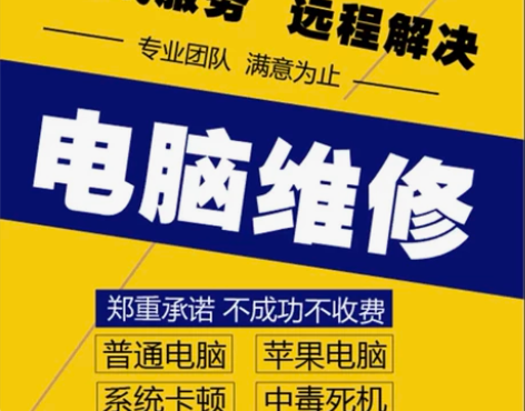 (代挂)电脑维修重装系统远程故障咨询修复蓝...