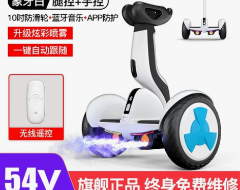 【乐活价】领奥官方旗舰店2022新款智能电...