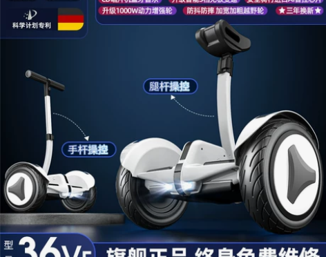 德国ZOLA官方旗舰店2022新款平衡车智...