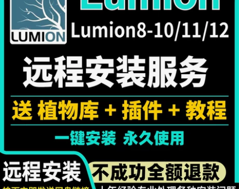 Lumion远程安装12/11/10//