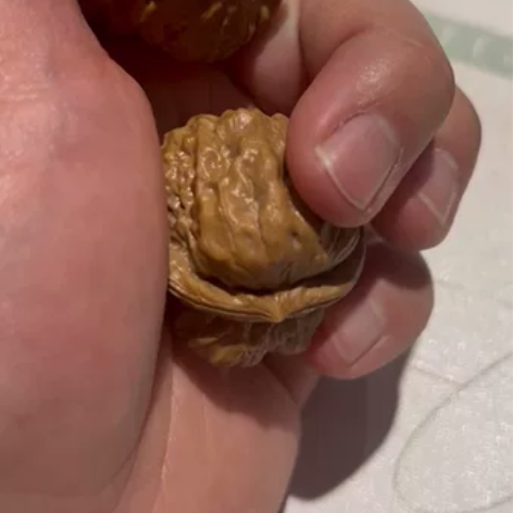 出一对38左右蛤蟆头,开背肌肉蛙,有腿有眼...