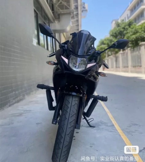 Suzuki/铃木铃木GSX250 抵...