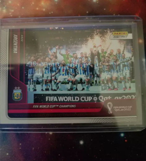2022 Panini 世界杯 INSTA...