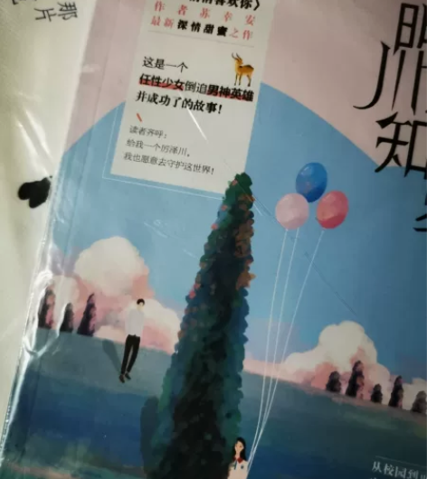青春文学 晋江 小说出售 那片蔚蓝色...